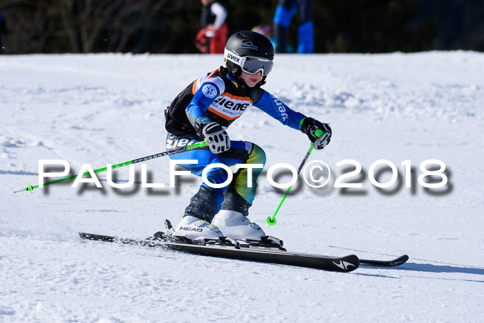 5. WF Ziener Cup + WFM, Steckenberg, 04.03.2018