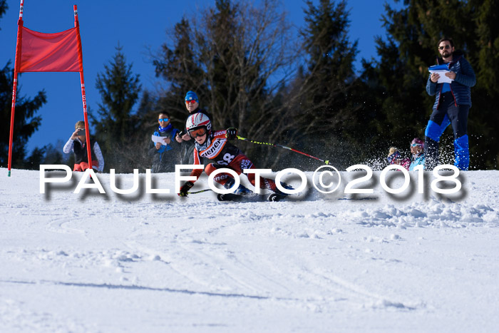 5. WF Ziener Cup + WFM, Steckenberg, 04.03.2018
