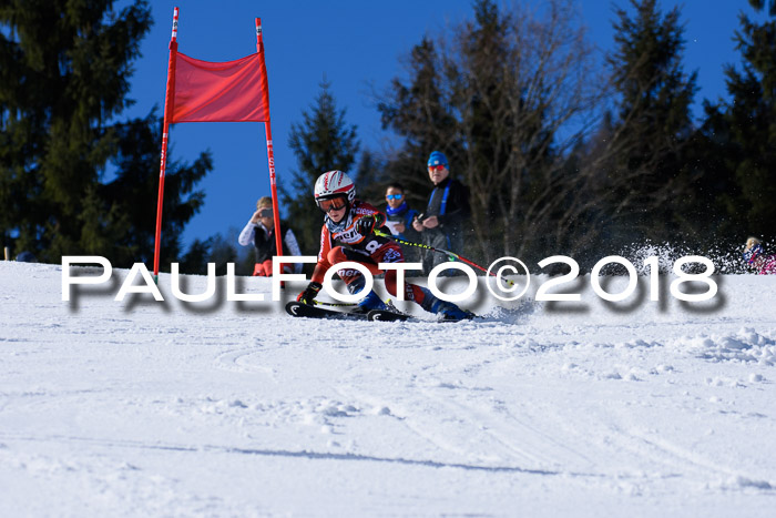 5. WF Ziener Cup + WFM, Steckenberg, 04.03.2018