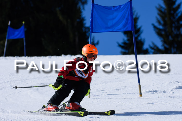5. WF Ziener Cup + WFM, Steckenberg, 04.03.2018