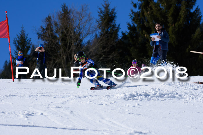 5. WF Ziener Cup + WFM, Steckenberg, 04.03.2018