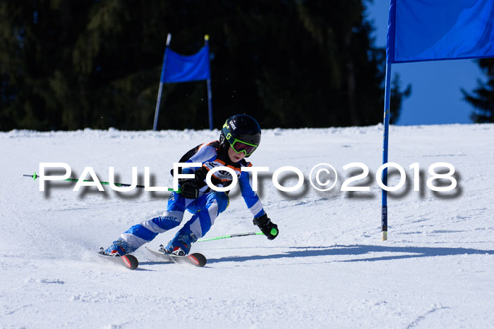 5. WF Ziener Cup + WFM, Steckenberg, 04.03.2018