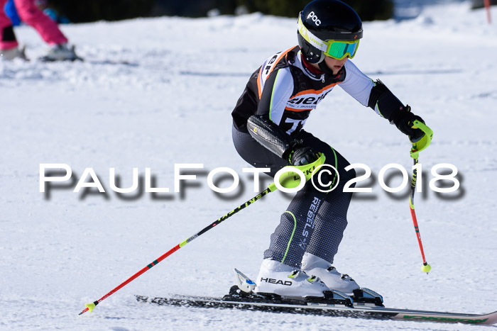 5. WF Ziener Cup + WFM, Steckenberg, 04.03.2018