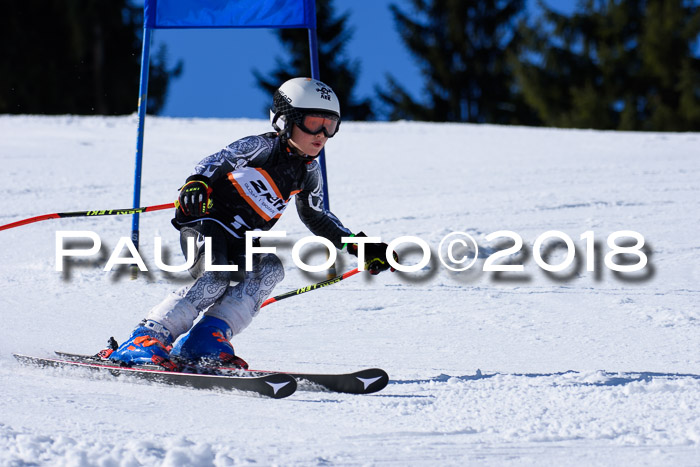 5. WF Ziener Cup + WFM, Steckenberg, 04.03.2018
