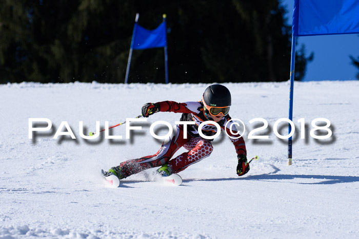 5. WF Ziener Cup + WFM, Steckenberg, 04.03.2018
