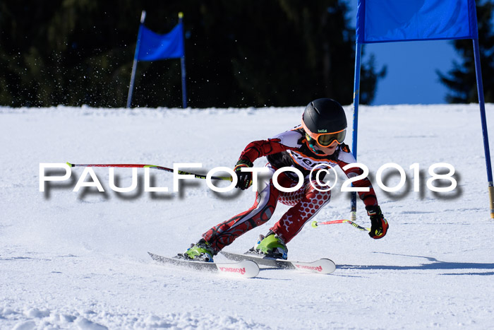 5. WF Ziener Cup + WFM, Steckenberg, 04.03.2018