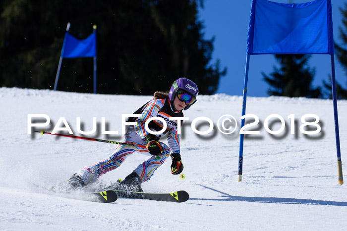 5. WF Ziener Cup + WFM, Steckenberg, 04.03.2018