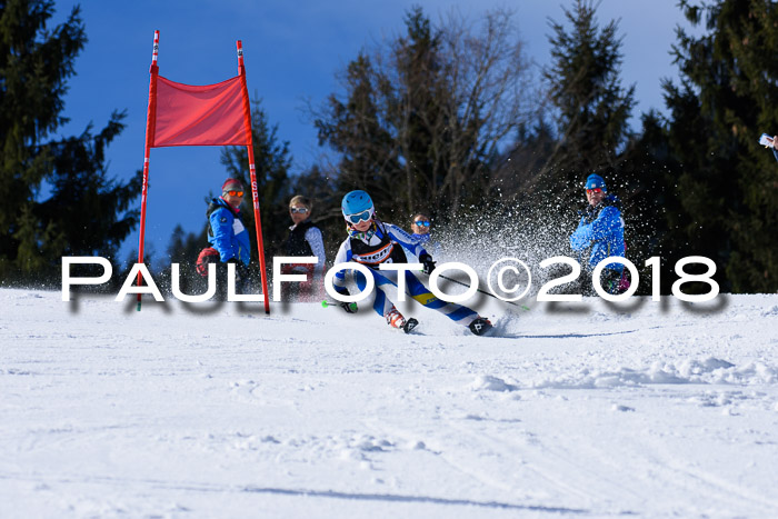 5. WF Ziener Cup + WFM, Steckenberg, 04.03.2018