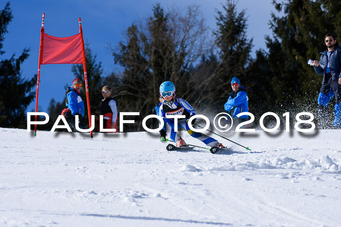 5. WF Ziener Cup + WFM, Steckenberg, 04.03.2018