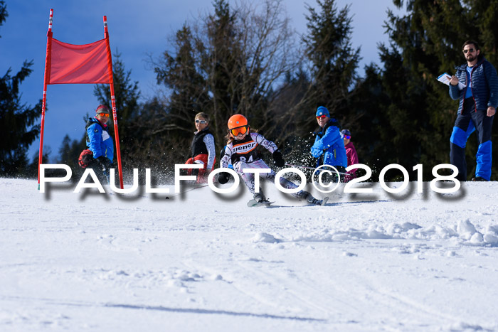 5. WF Ziener Cup + WFM, Steckenberg, 04.03.2018