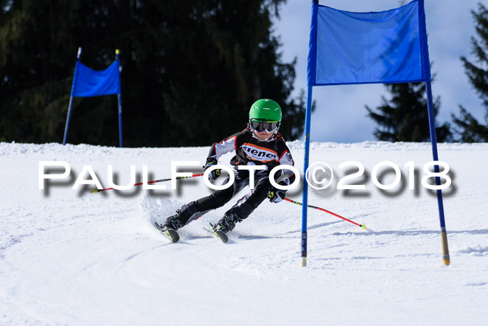 5. WF Ziener Cup + WFM, Steckenberg, 04.03.2018