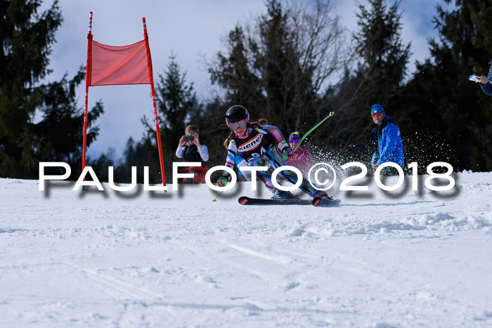 5. WF Ziener Cup + WFM, Steckenberg, 04.03.2018