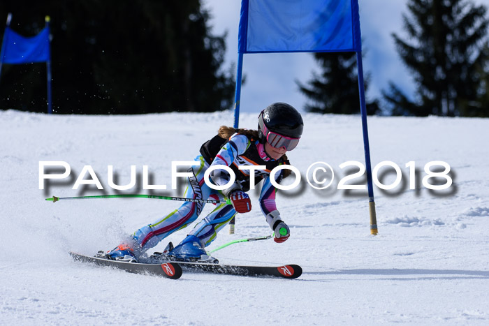 5. WF Ziener Cup + WFM, Steckenberg, 04.03.2018