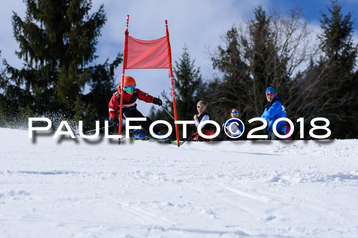 5. WF Ziener Cup + WFM, Steckenberg, 04.03.2018