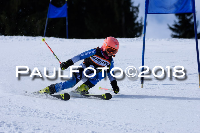 5. WF Ziener Cup + WFM, Steckenberg, 04.03.2018