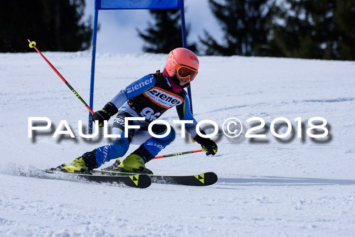 5. WF Ziener Cup + WFM, Steckenberg, 04.03.2018