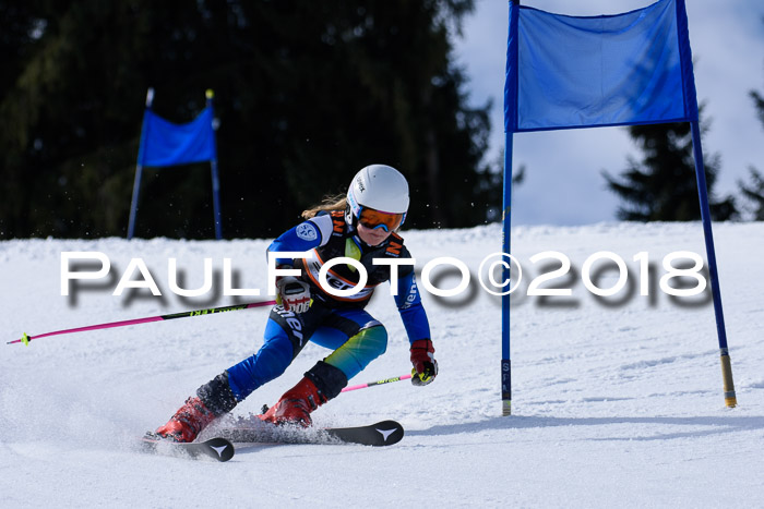 5. WF Ziener Cup + WFM, Steckenberg, 04.03.2018