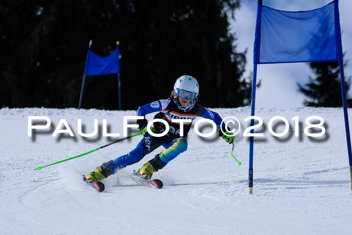 5. WF Ziener Cup + WFM, Steckenberg, 04.03.2018