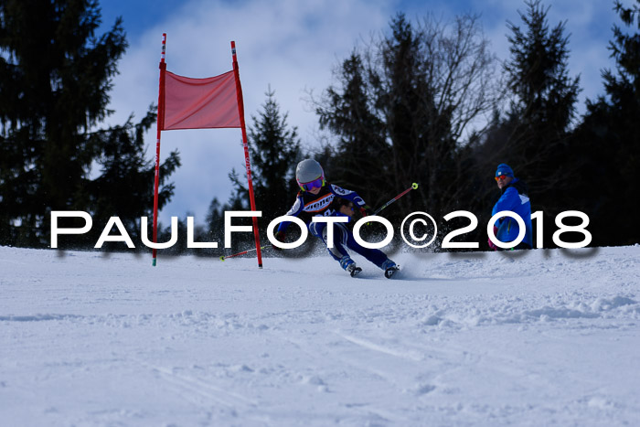 5. WF Ziener Cup + WFM, Steckenberg, 04.03.2018