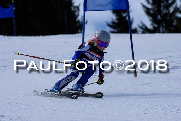 5. WF Ziener Cup + WFM, Steckenberg, 04.03.2018