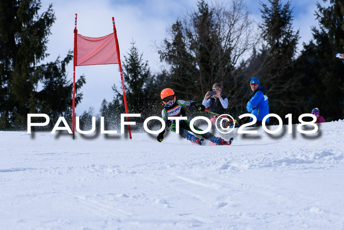 5. WF Ziener Cup + WFM, Steckenberg, 04.03.2018