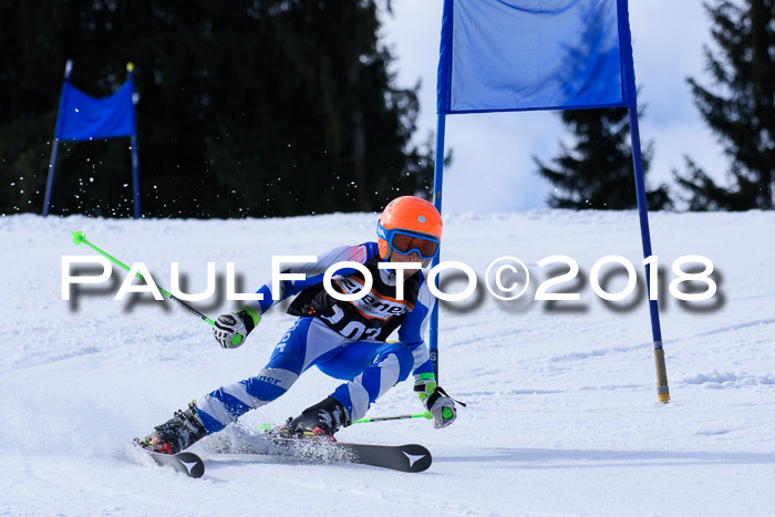 5. WF Ziener Cup + WFM, Steckenberg, 04.03.2018