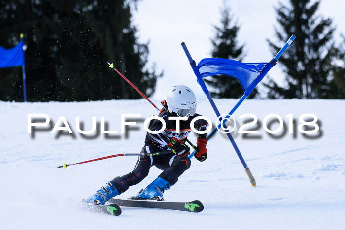 5. WF Ziener Cup + WFM, Steckenberg, 04.03.2018