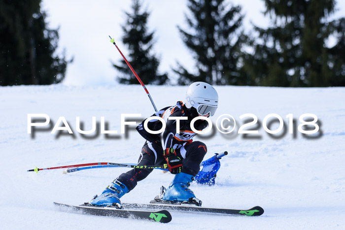5. WF Ziener Cup + WFM, Steckenberg, 04.03.2018