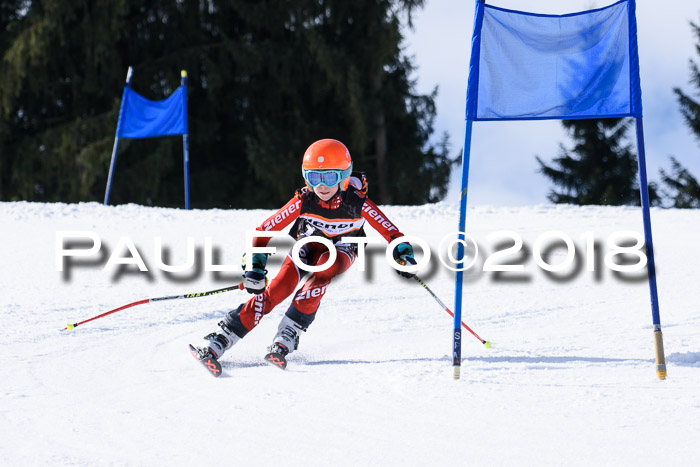 5. WF Ziener Cup + WFM, Steckenberg, 04.03.2018