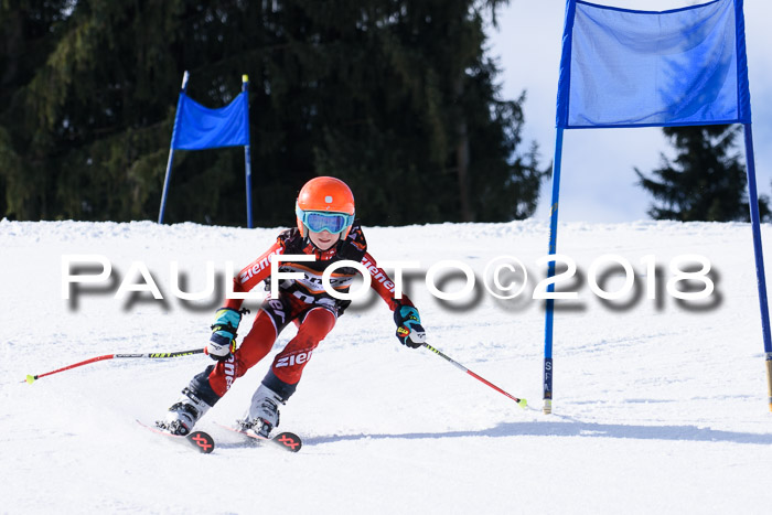 5. WF Ziener Cup + WFM, Steckenberg, 04.03.2018