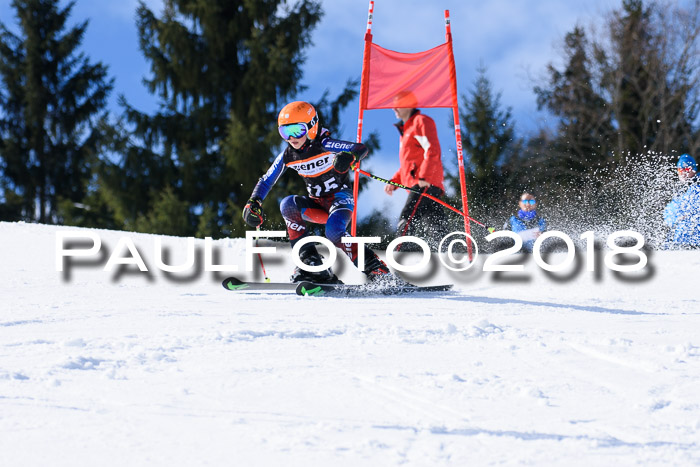 5. WF Ziener Cup + WFM, Steckenberg, 04.03.2018