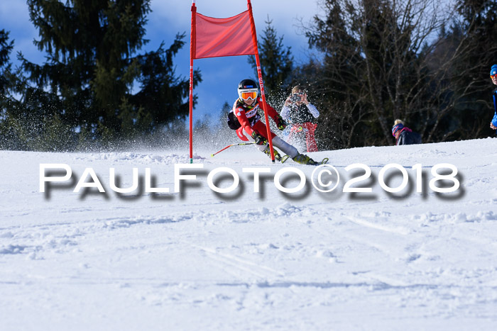 5. WF Ziener Cup + WFM, Steckenberg, 04.03.2018