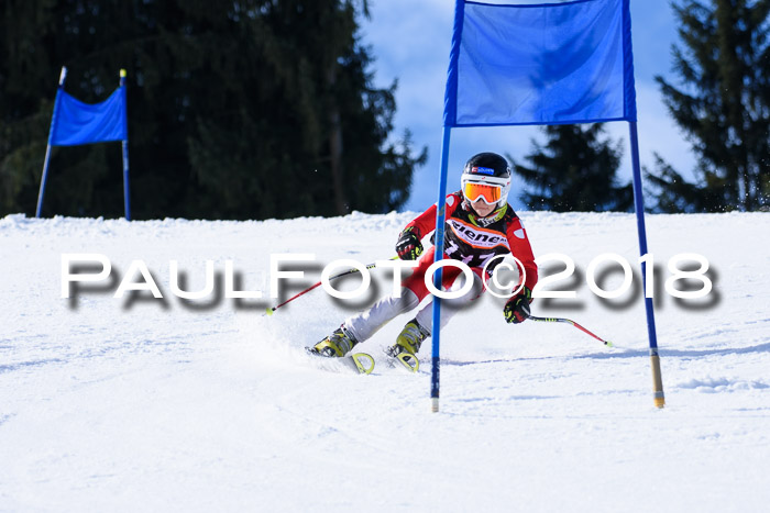 5. WF Ziener Cup + WFM, Steckenberg, 04.03.2018