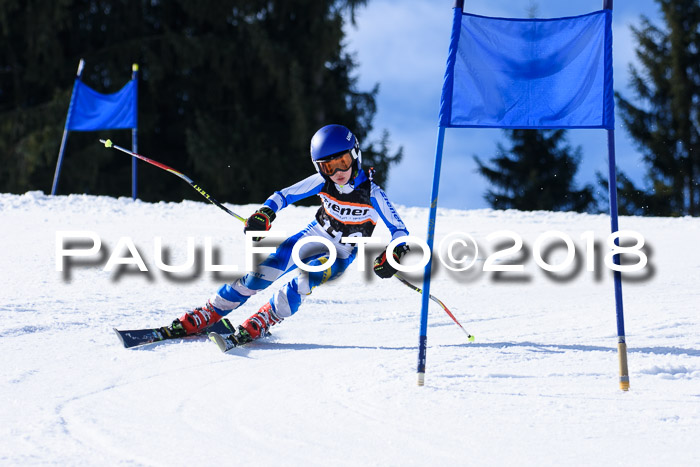 5. WF Ziener Cup + WFM, Steckenberg, 04.03.2018