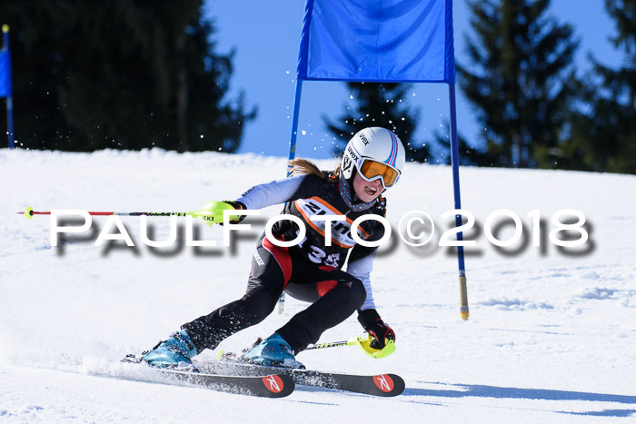 5. WF Ziener Cup + WFM, Steckenberg, 04.03.2018