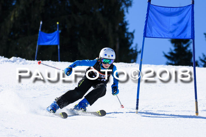 5. WF Ziener Cup + WFM, Steckenberg, 04.03.2018