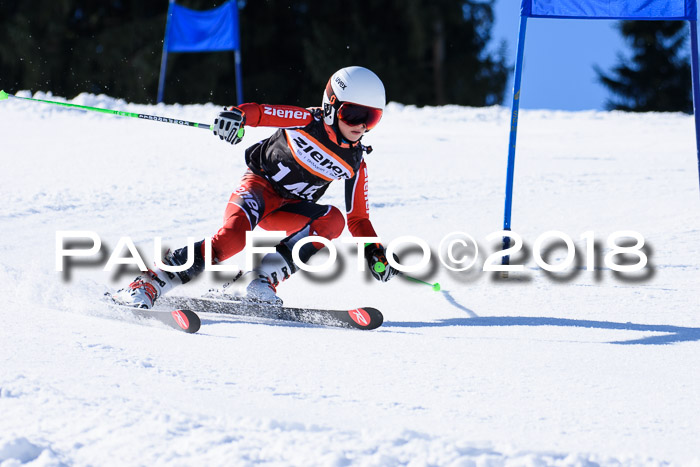 5. WF Ziener Cup + WFM, Steckenberg, 04.03.2018
