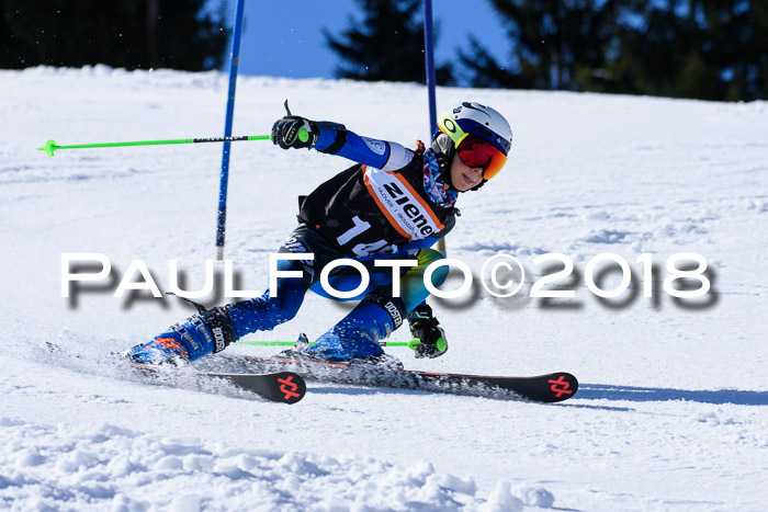 5. WF Ziener Cup + WFM, Steckenberg, 04.03.2018