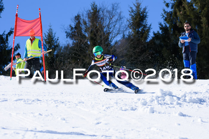 5. WF Ziener Cup + WFM, Steckenberg, 04.03.2018