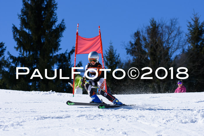 5. WF Ziener Cup + WFM, Steckenberg, 04.03.2018