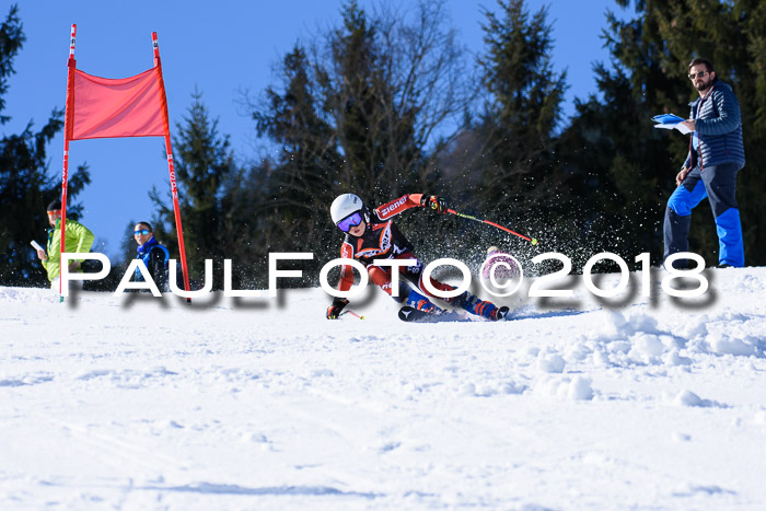 5. WF Ziener Cup + WFM, Steckenberg, 04.03.2018