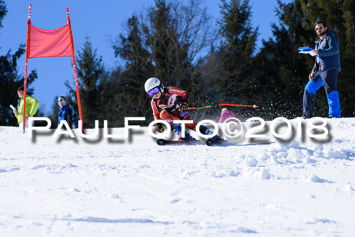 5. WF Ziener Cup + WFM, Steckenberg, 04.03.2018