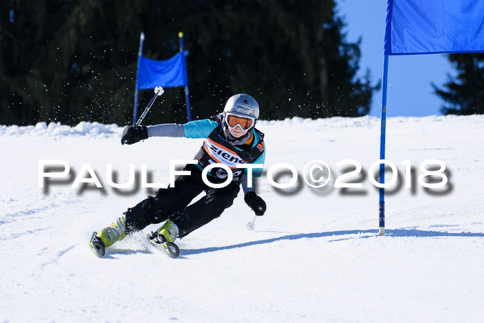 5. WF Ziener Cup + WFM, Steckenberg, 04.03.2018