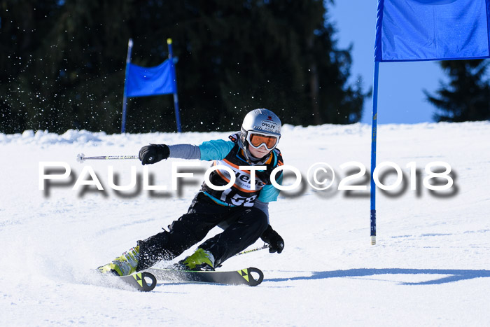 5. WF Ziener Cup + WFM, Steckenberg, 04.03.2018