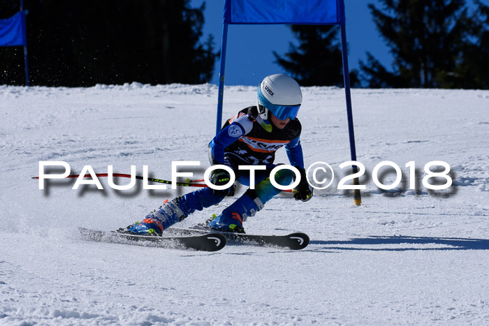 5. WF Ziener Cup + WFM, Steckenberg, 04.03.2018