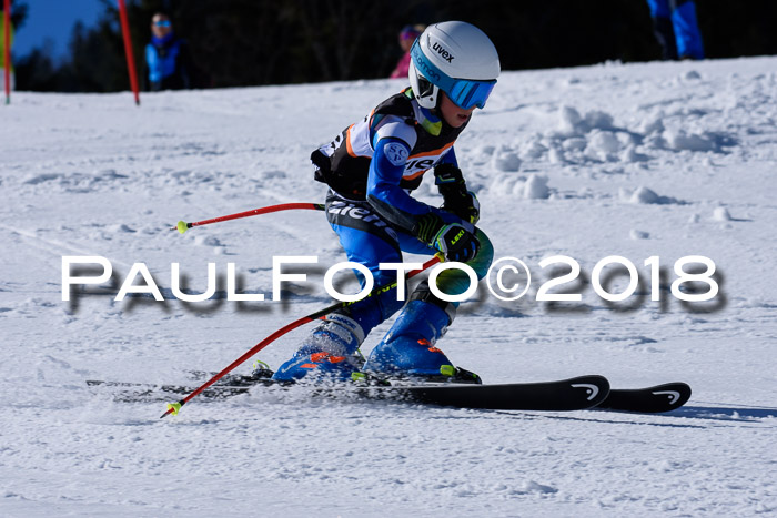 5. WF Ziener Cup + WFM, Steckenberg, 04.03.2018