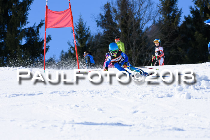 5. WF Ziener Cup + WFM, Steckenberg, 04.03.2018