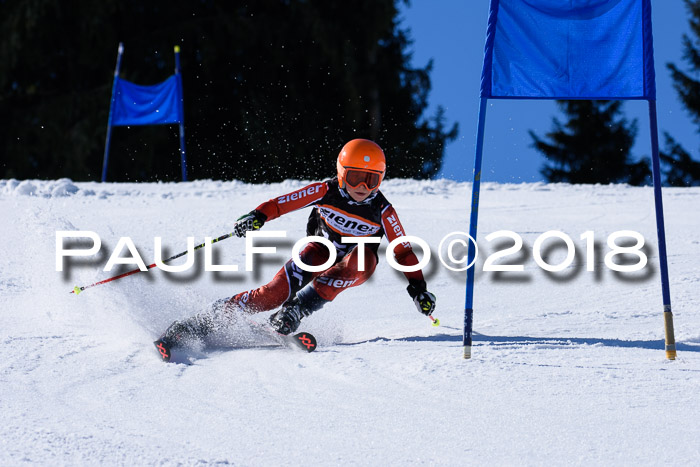 5. WF Ziener Cup + WFM, Steckenberg, 04.03.2018