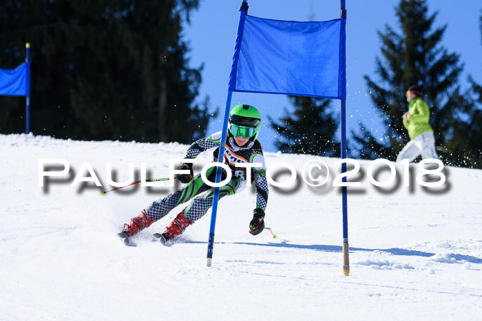 5. WF Ziener Cup + WFM, Steckenberg, 04.03.2018
