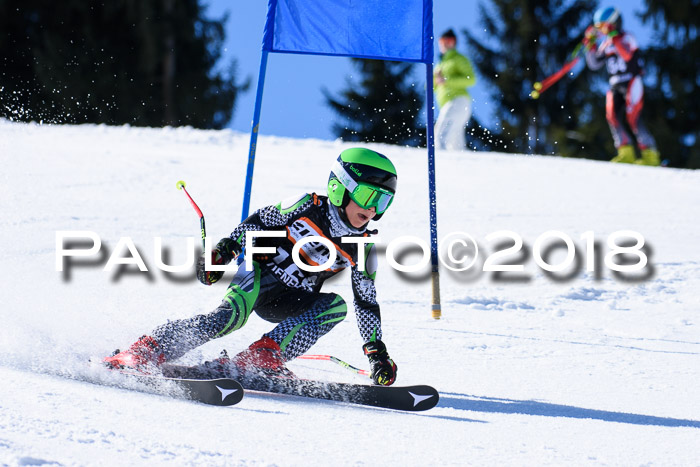 5. WF Ziener Cup + WFM, Steckenberg, 04.03.2018
